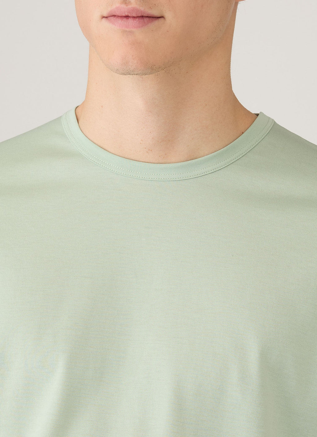 Men's Classic T-shirt in Laurel
