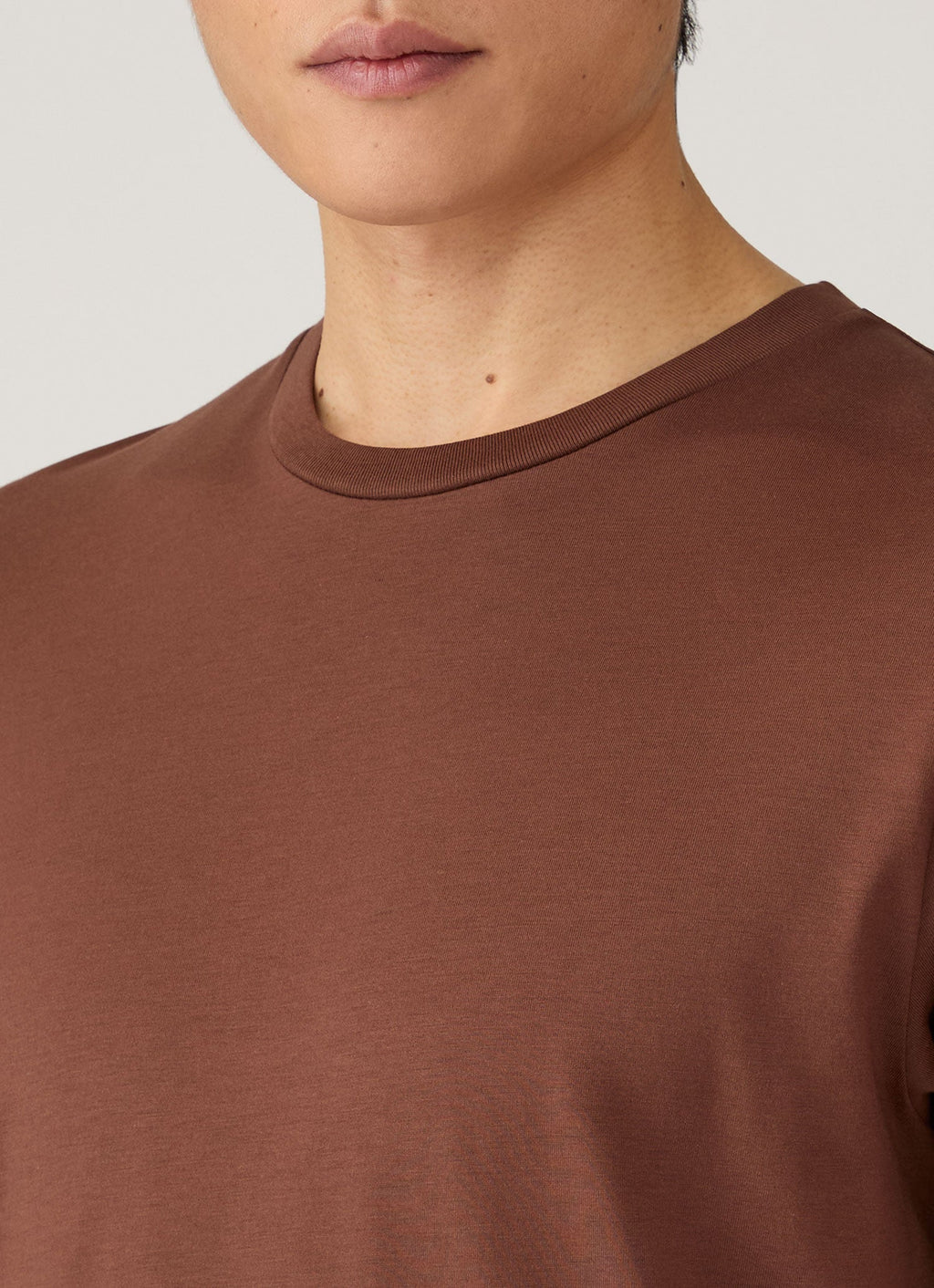 Men's Midweight T-shirt in Chestnut
