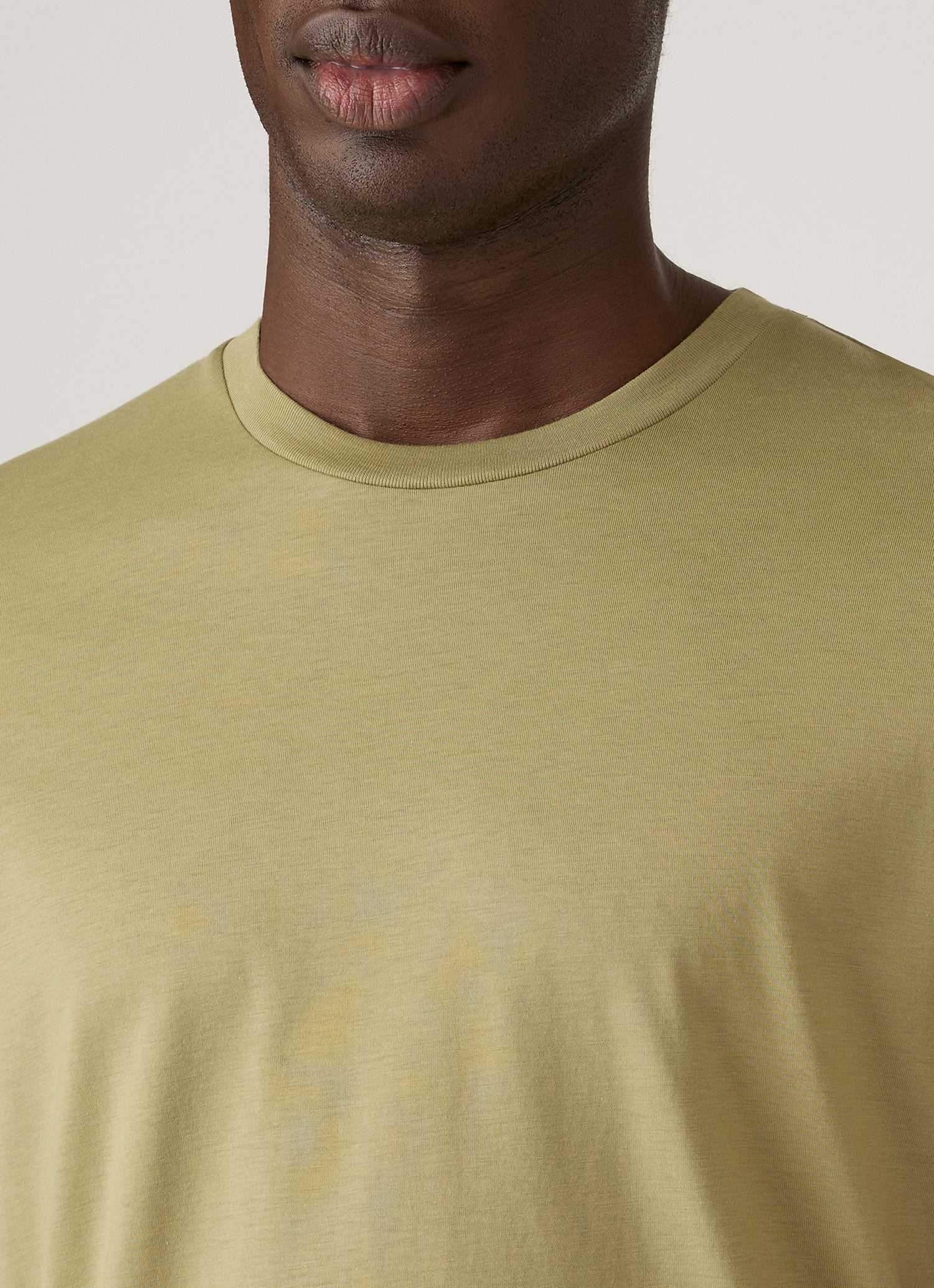 Men's Midweight T-shirt in Artichoke