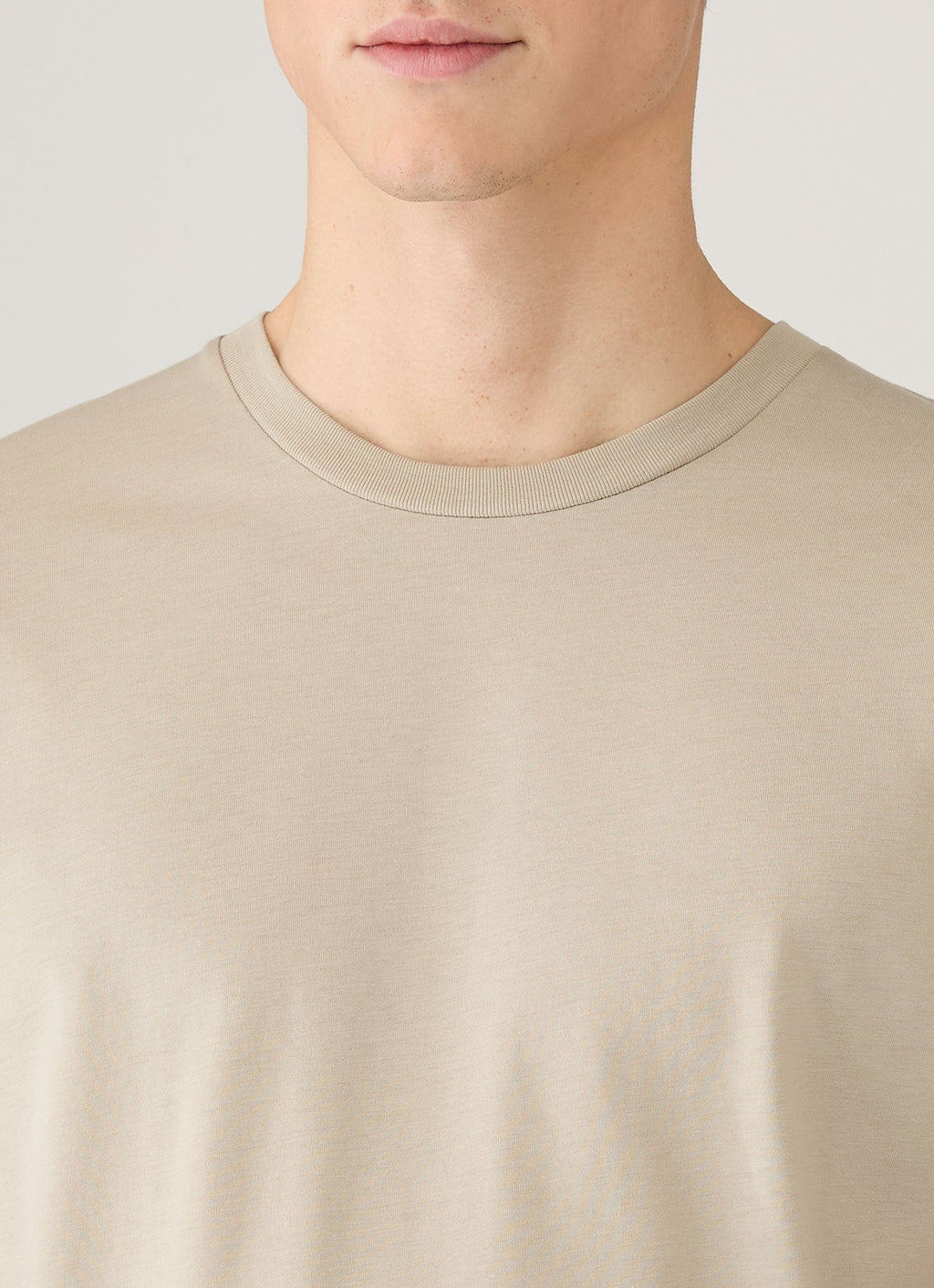 Men's Midweight T-shirt in Ash